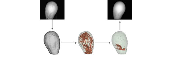 CT-based data generation for foreign object detection on a single X-ray projection