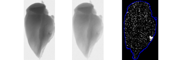 Unsupervised foreign object detection based on dual-energy absorptiometry in the food industry